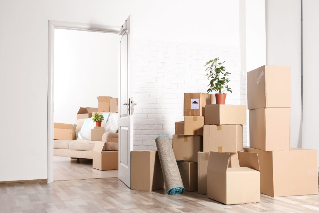 Home Organizer For Packing | Sorted Spaces Professional Organizer