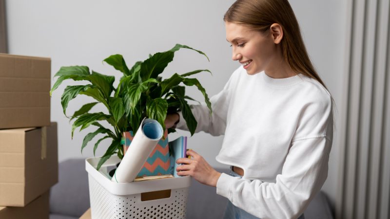 Home Organizers _ Sorted Spaces